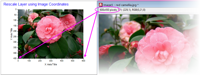 UG Rescale Layer using Image Coordinates.png