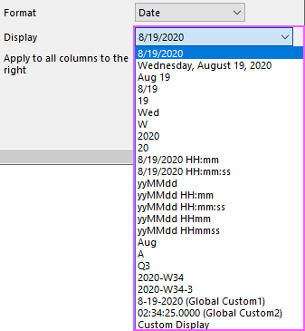 ColProperties Display Date.png