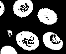 Morphology close.png