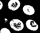 Morphology open.png