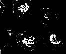 Morpholoy blackhat.png