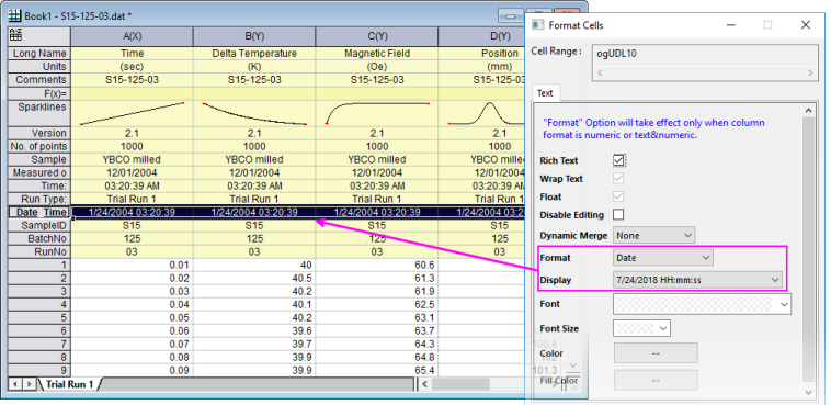 Format worksheet header param rows.png