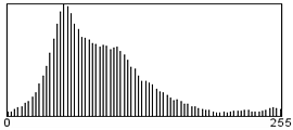 Adjustment cvHistc 04.png