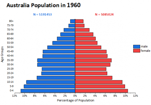 Population Pyramid Graph.png