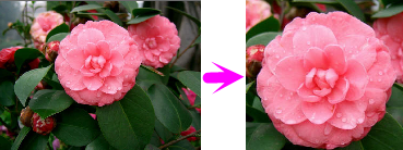 Image transform 01.png