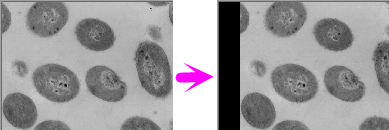 Image transform 05.png