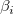 \beta_i  \beta_i
