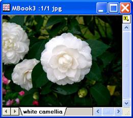 ImgAutoLevel help English files image004.jpg