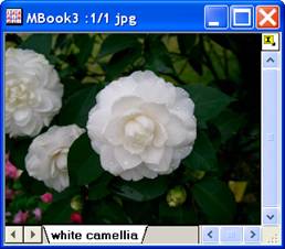 ImgBlend help English files image004.jpg