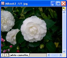 ImgFuncLUT help English files image004.jpg