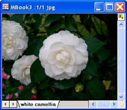 ImgGamma help English files image004.jpg