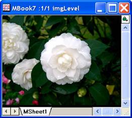 ImgLevel help English files image006.jpg