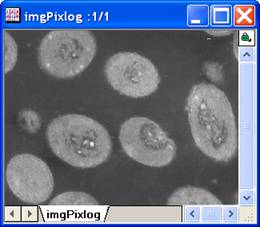ImgPixlog help English files image006.jpg