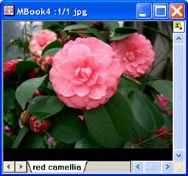 ImgRGBsplit help English files image004.jpg