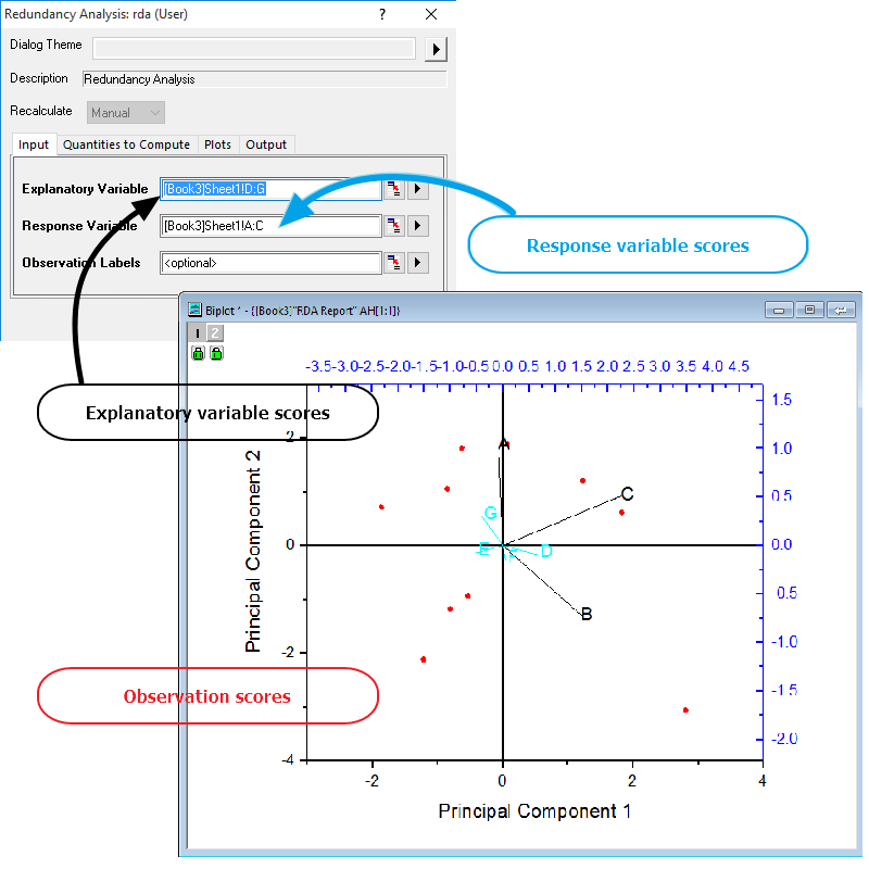 Redundancy Analysis