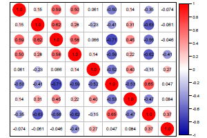 Correlation Plot
