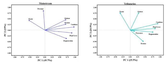Principal component analysis (PCA) plots
