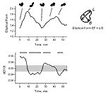 This two-panel graph shows an analysis of the dynamically changing shape of a single neuron over time.