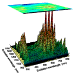 Emission intensity plotted as a function of excitation and emission wavelengths.  In this surface plot, each peak corresponds to a different semiconducting nanotube structure.