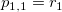 p_{1, 1} = r_1 p_{1, 1} = r_1