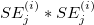 SE_j^{(i)}*SE_j^{(i)} SE_j^{(i)}*SE_j^{(i)}