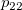 p_{22} p_{22}