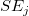 SE_j SE_j