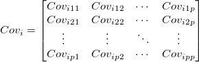 Cov_i = \begin{bmatrix}
Cov_{i11} &Cov_{i12}      & \cdots & Cov_{i1p}      \\
Cov_{i21} &Cov_{i22}      & \cdots & Cov_{i2p}      \\
\vdots & \vdots & \ddots & \vdots \\
Cov_{ip1} &Cov_{ip2}     & \cdots & Cov_{ipp}
\end{bmatrix}