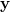 \mathbf{y} \mathbf{y}