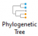 Phylogenetic Tree Icon.png