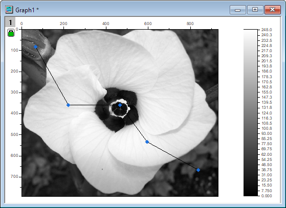 Polyline Profiles 05.png