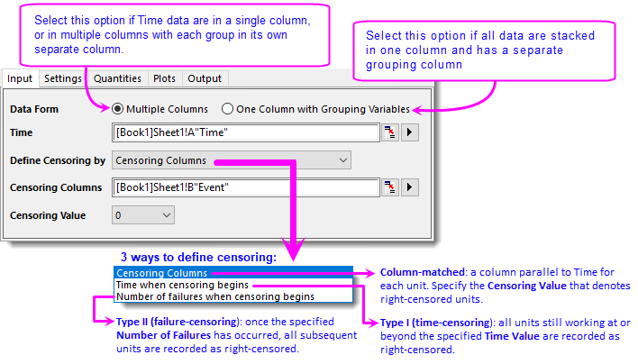 Parametric Dist Analysis Right Censoring Tutorial 02 Input.png