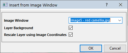 UG dialog Insert Image from Image Win.png