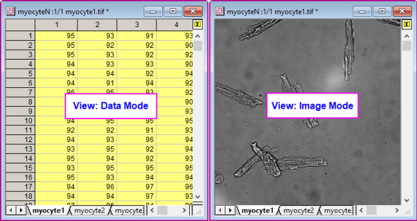 Datamode imagemode.png