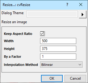 UG cvResize dialog.png