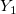 Y_1 Y_1