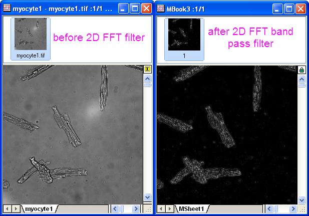 Help Online - Tutorials - 2D FFT and Filter