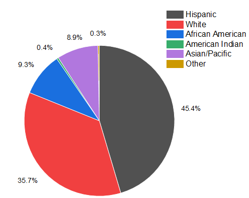 2D Pie Chart Graph1.png