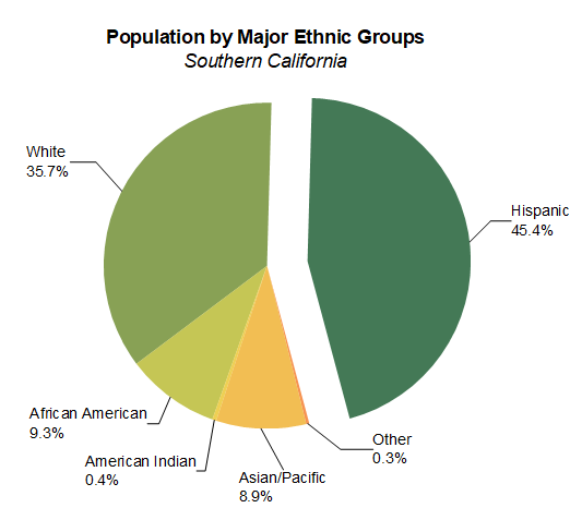 American Population By Race Pie Chart