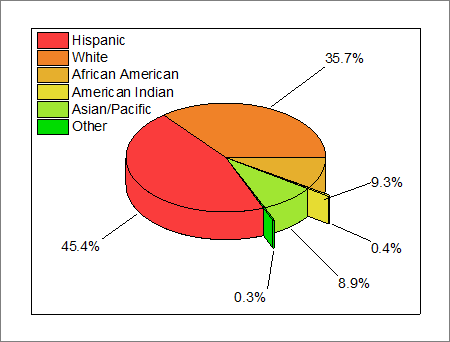 Demographic Pie Chart