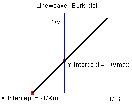 Tutorial NLFit L-B Plot.png