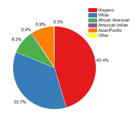 2D B W Pie Chart 1.png