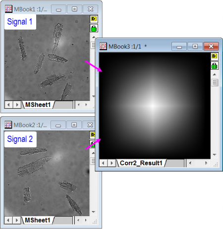 Help Online - Origin Help - 2D Correlation (Pro Only)