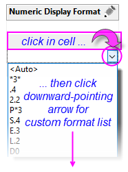 Data info custom format list.png