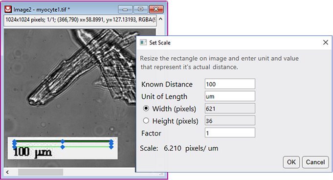 Help Online - Origin Help - Setting Scale and Dimensions
