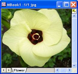 ImgAverage help English files image004.jpg