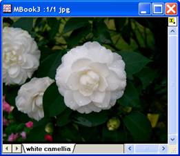 ImgColorlevel help English files image002.jpg