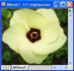 ImgGaussian help English files image006.jpg