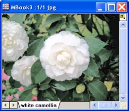 ImgHisteq help English files image006.jpg