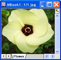 ImgInvert help English files image004.jpg